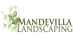Mandevilla Landscaping